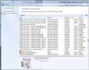 You really need only one of these Visual C++ redistributables.