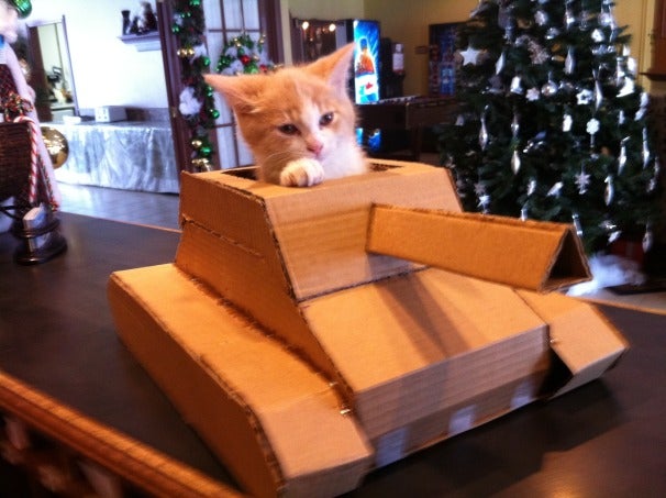 Your Kitteh Means Business in This DIY Cardboard Tank 