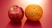 SOPA and PIPA legislation