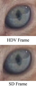 What Does Sd Mean >> Making Movies What Does High Definition Really Mean Pcworld What Does Sd Mean >> Making Movies What Does High Definition Really Mean Pcworld