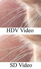 What Does Sd Mean >> Making Movies What Does High Definition Really Mean Pcworld What Does Sd Mean >> Making Movies What Does High Definition Really Mean Pcworld