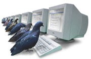 Google April Fools Pigeons