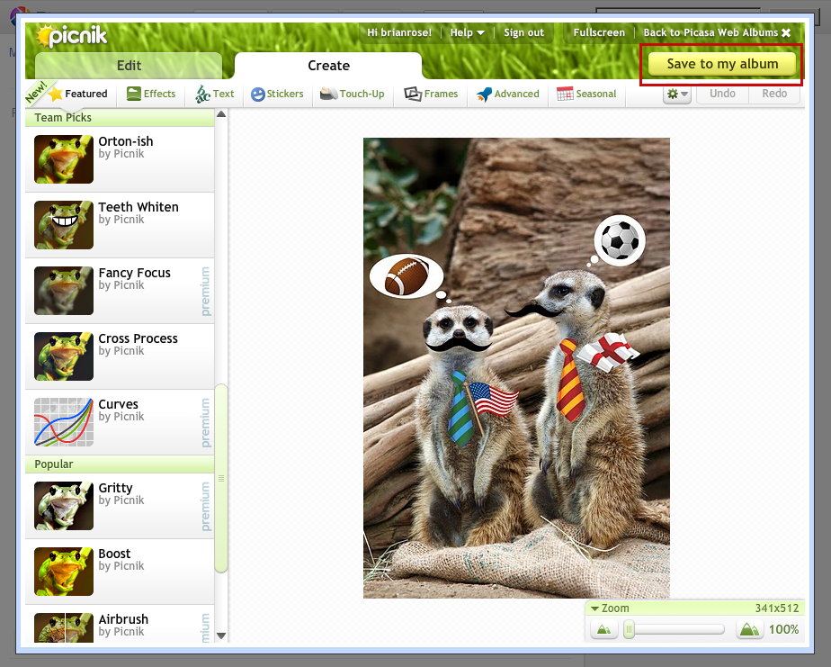 picasa video editor